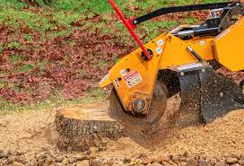 Best Tree and Shrub Care  in North Bellport, NY